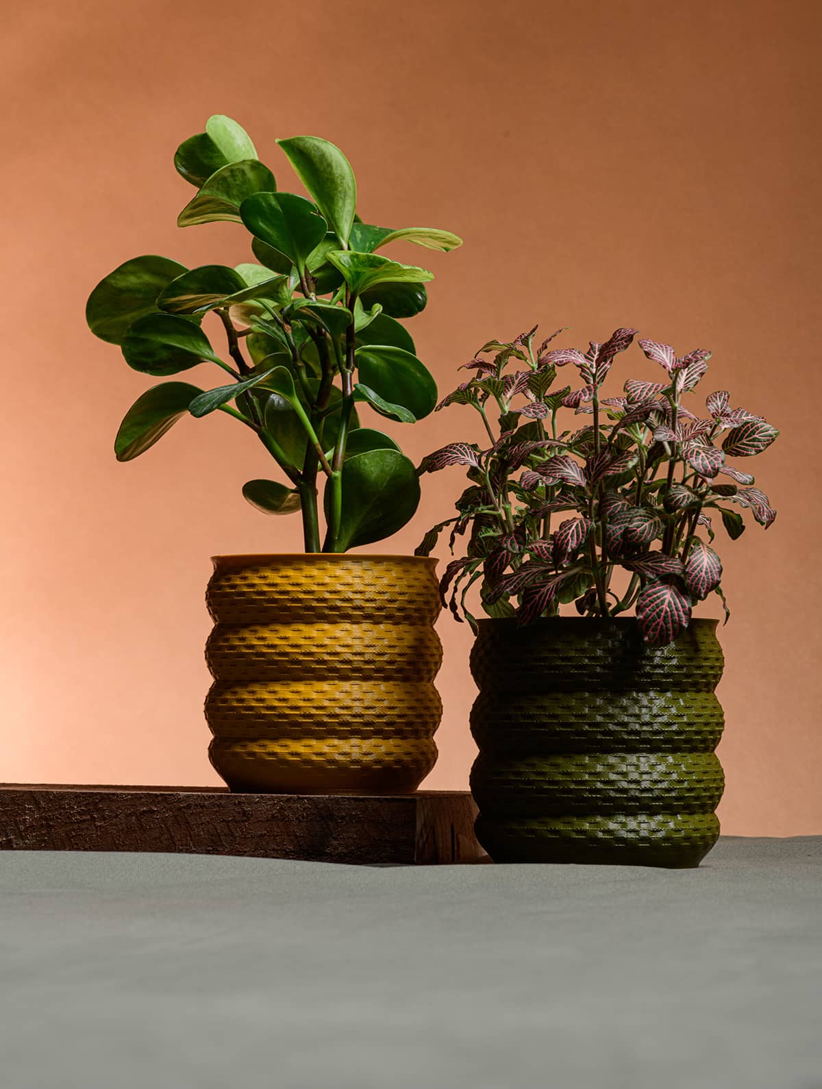 planters-webiste-cyrc_ad5736be-fb72-4452-b963-08d9f116ccc5.jpg