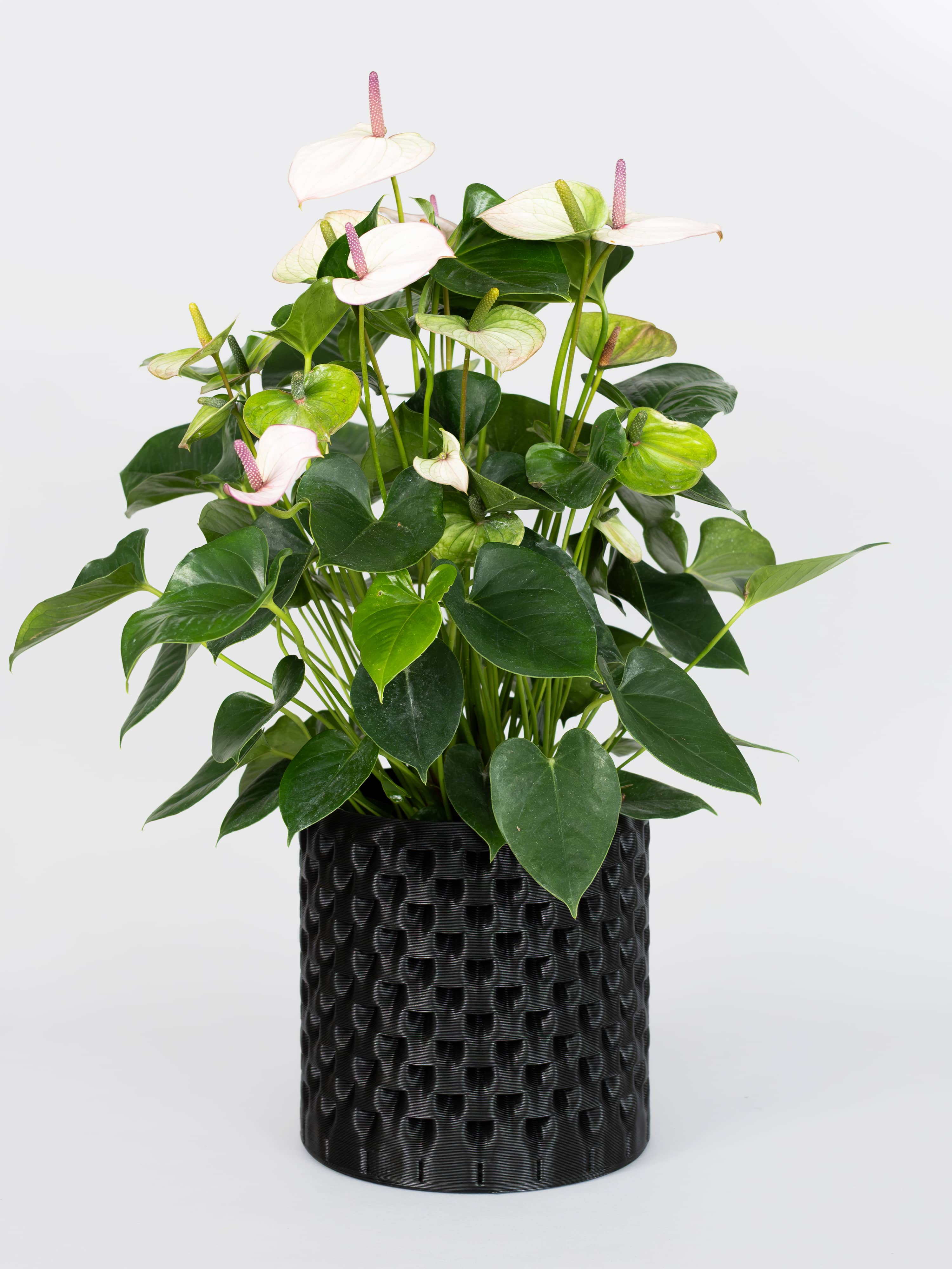 Breeze Planter